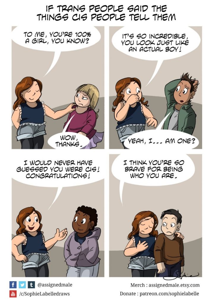 Comic von Sophie Labelle. Behandelt mehrere Stereotype Aussagen, mit denen trans Personen konfrontiert werden.